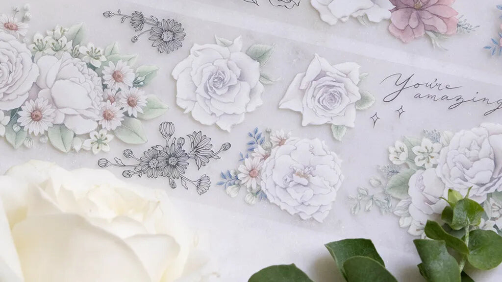 collection-banner-image